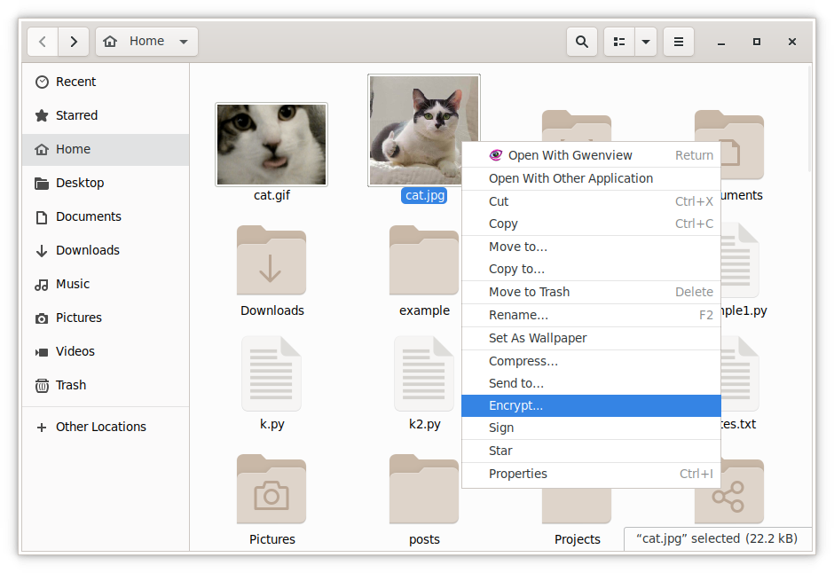 encrypt files with gui using nautilus on linux